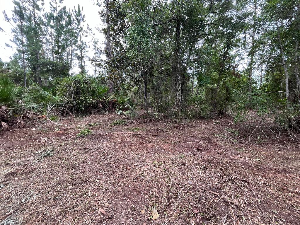 LAKE GEORGE MANOR - Land