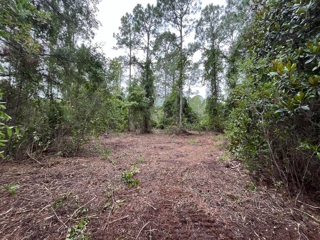 LAKE GEORGE MANOR - Land