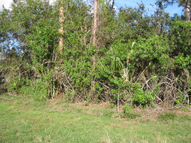 Great oversized corner lot close to the Crosstown Parkway for easy access to I -95 and the Turnpike. The corner lot to the east (RX-10293808) and the lot to the north of it (RX-10293809) are also available. Buy all three! Great for building your dream home or investors looking to build spec homes!