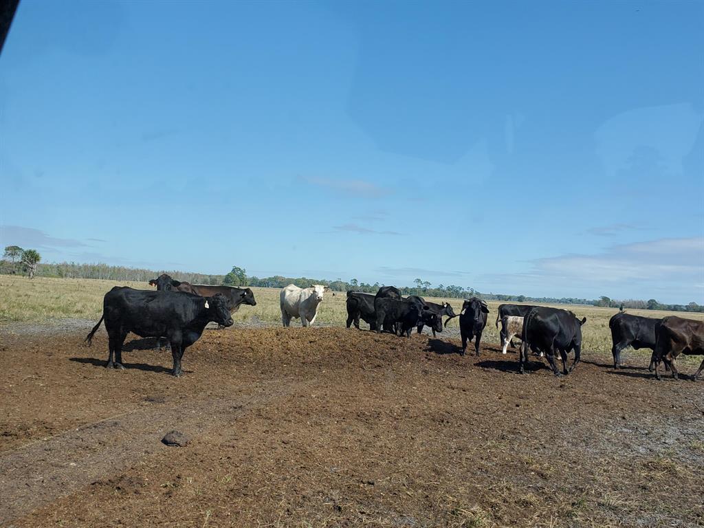 UNASSIGNED, OKEECHOBEE - Land