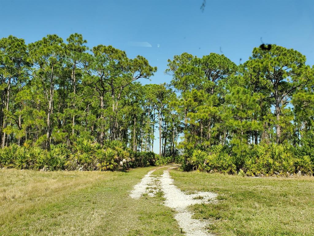UNASSIGNED, OKEECHOBEE - Land