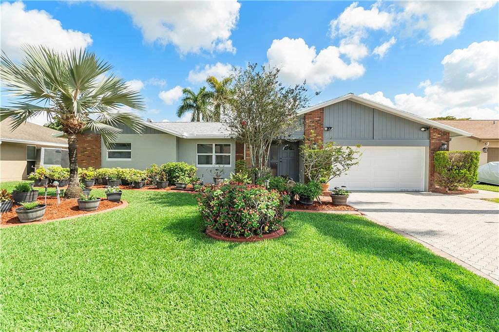 ORANGE TREE - Residential