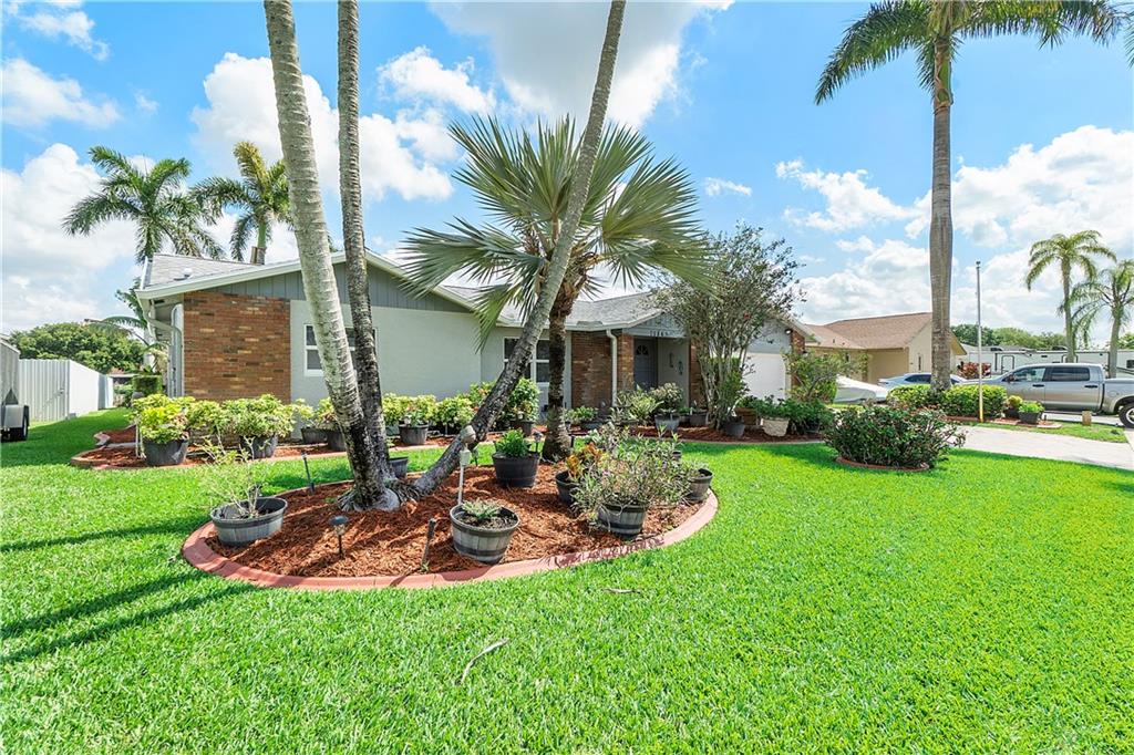 ORANGE TREE - Residential