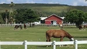 Palm Beach Farms - Residential