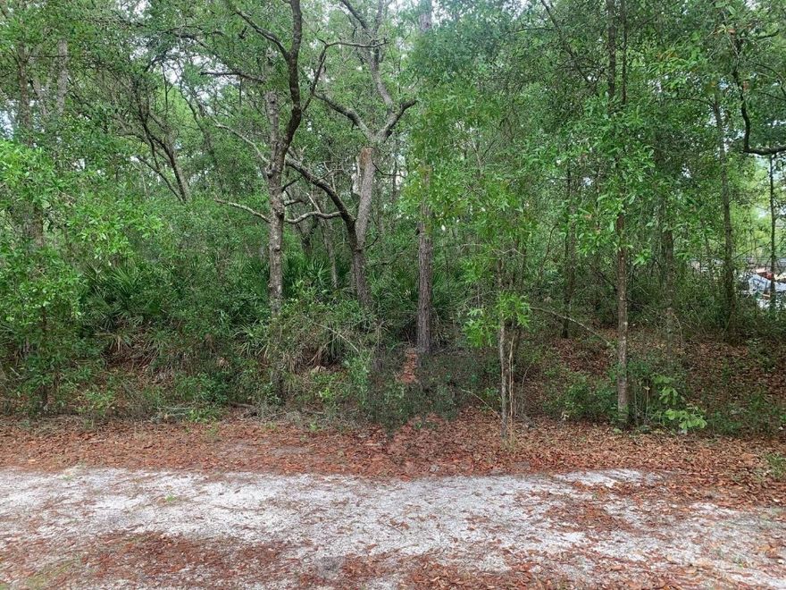 1/4 acre in Putnam County. Mobile Homes permitted!!Owner Finance $1,500 down