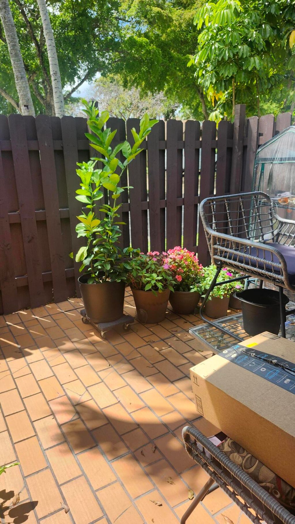 Photo of 532 Briarwood Circle #2-48, Hollywood, FL 33024 (MLS # B26020761)