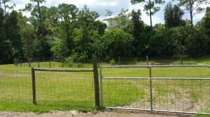 JUPITER FARMS - Residential