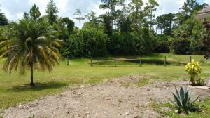 JUPITER FARMS - Residential