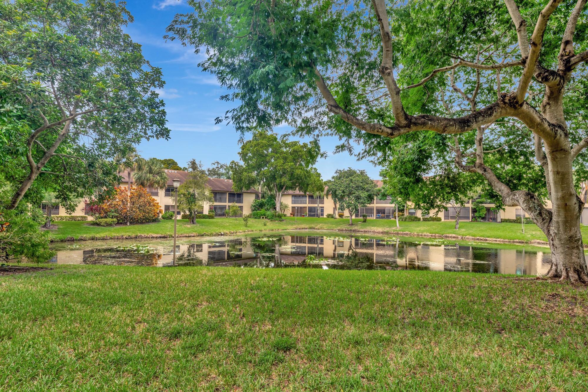 3161 Carambola Cir 2381