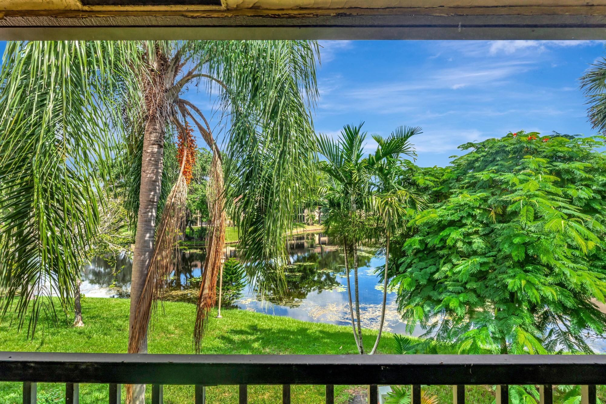 3161 Carambola Cir 2381