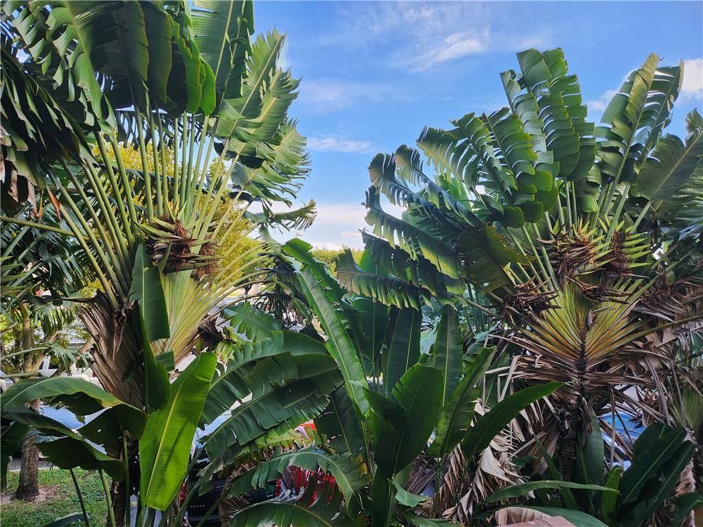 Condado Real Condo - Residential