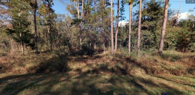 GREAT OPPORTUNITY!!!! NOW YOU CAN BUILT THE HOUSE OF YOUR DREAMS SURROUNDED BY COUNTRY FELLING AND BEAUTIFUL NATURE!!!! EASY TO SHOW, WHAT ARE YOU WAITING FOR? CLOSE TO ST. AUGUSTINE FL. FIRST CITY IN USA