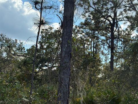 207 Plumosa Drive Indian Lake Estates FL 33855