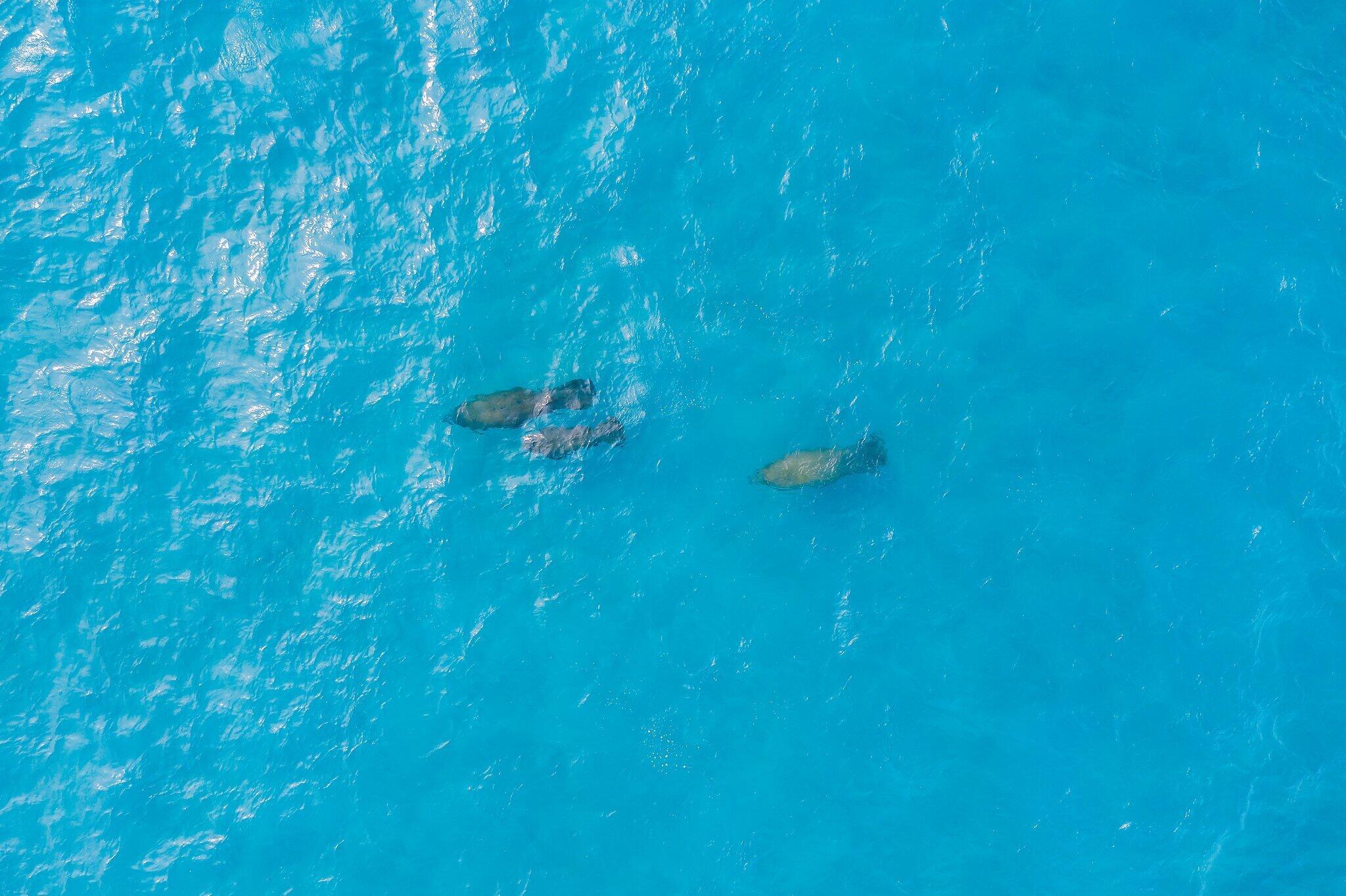 BARCLAY CONDO - Residential Lease