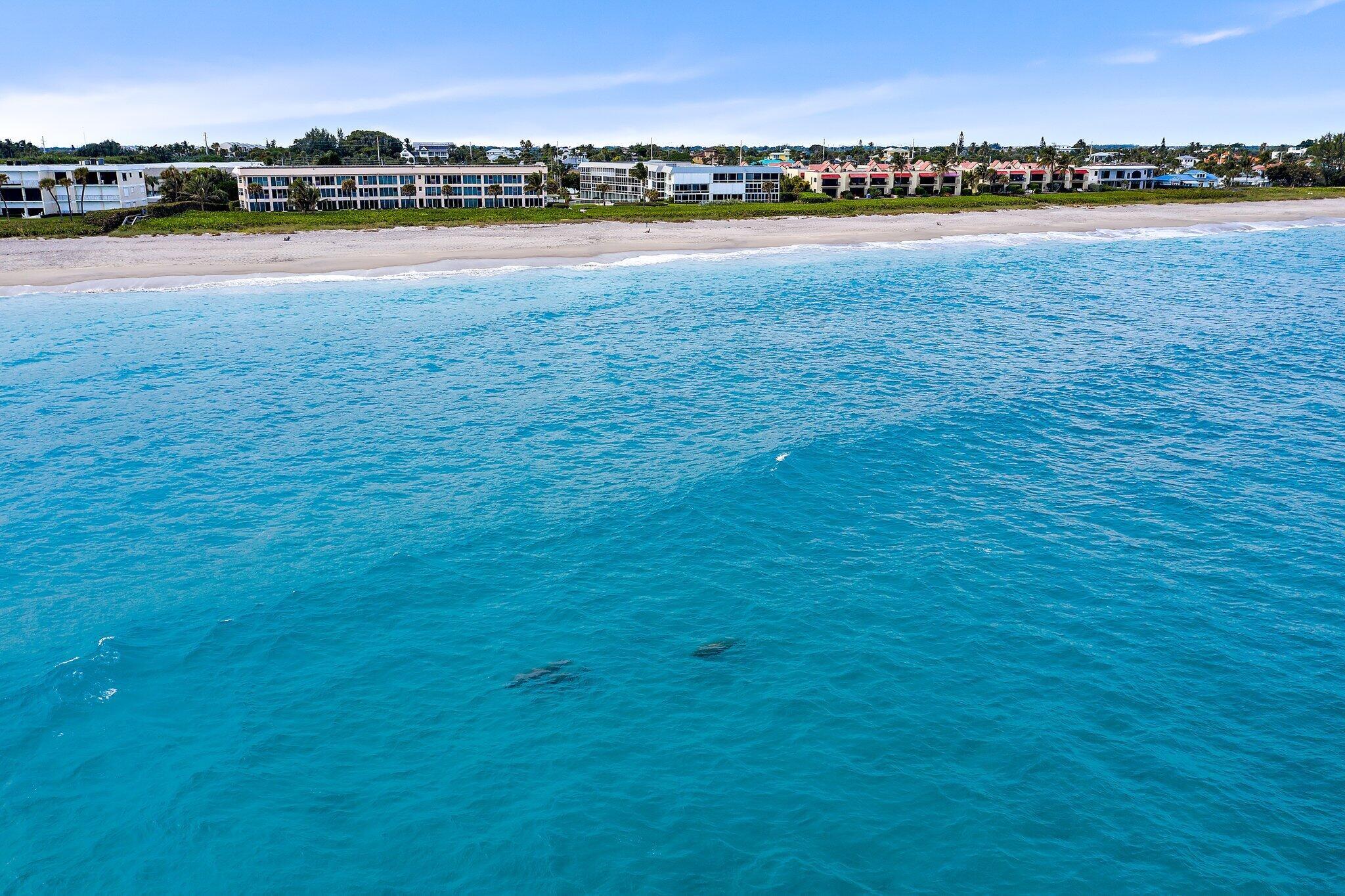 BARCLAY CONDO - Residential Lease