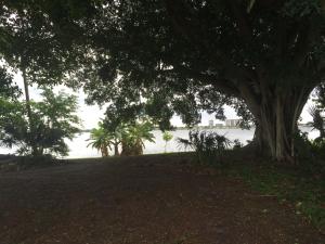 WESTFIELD AT WPB - Residential