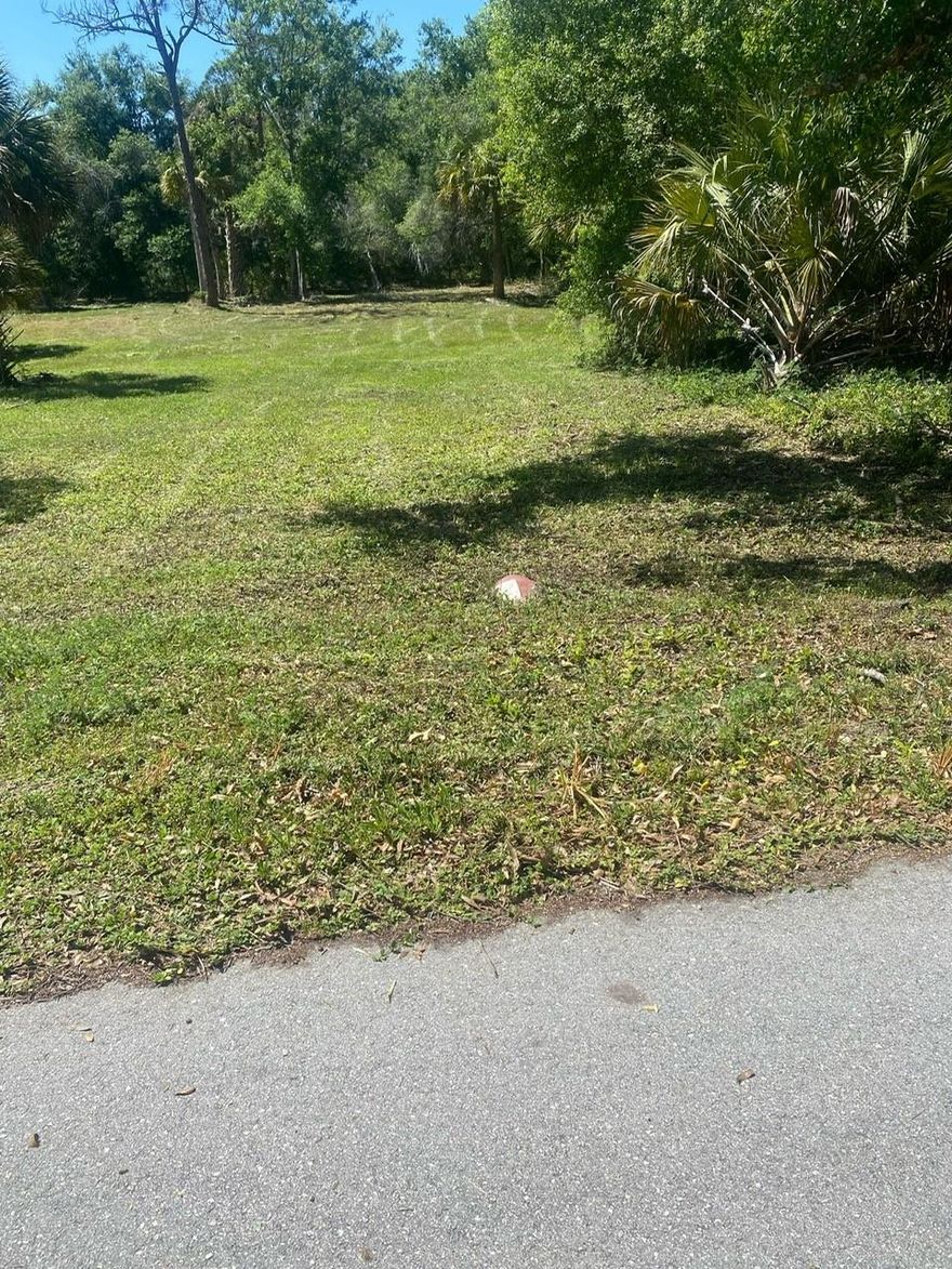 1/2 Acre lot!!!!Nestled in the heart of Lehigh Acres, this lot is conveniently located near schools, shopping centers, and recreational facilities. Peaceful living with easy access to amenities. Investment Opportunity: Secure your future with this prime piece of real estate. Land in Lehigh Acres is in high demand, making this lot a smart investment for years to come. Offer must be accompanied by proof of funds or a pre-approval loan letter.