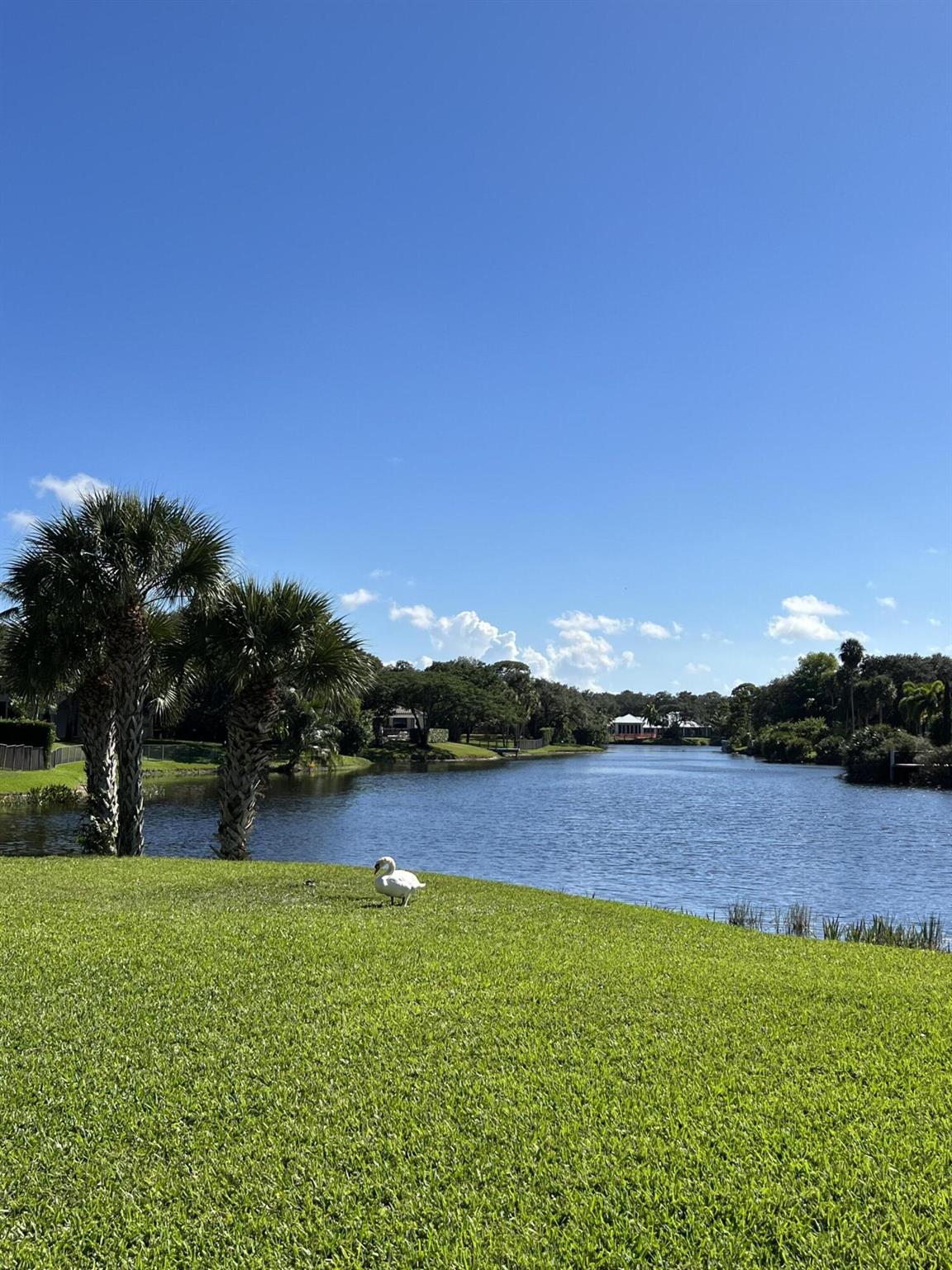 FOXE CHASE - Residential