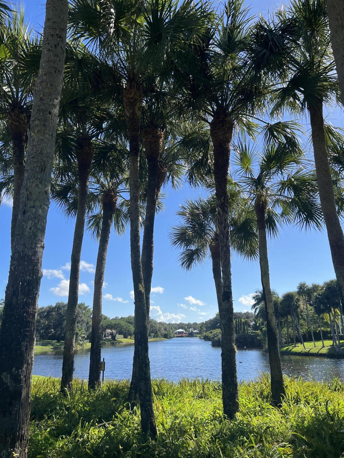 FOXE CHASE - Residential