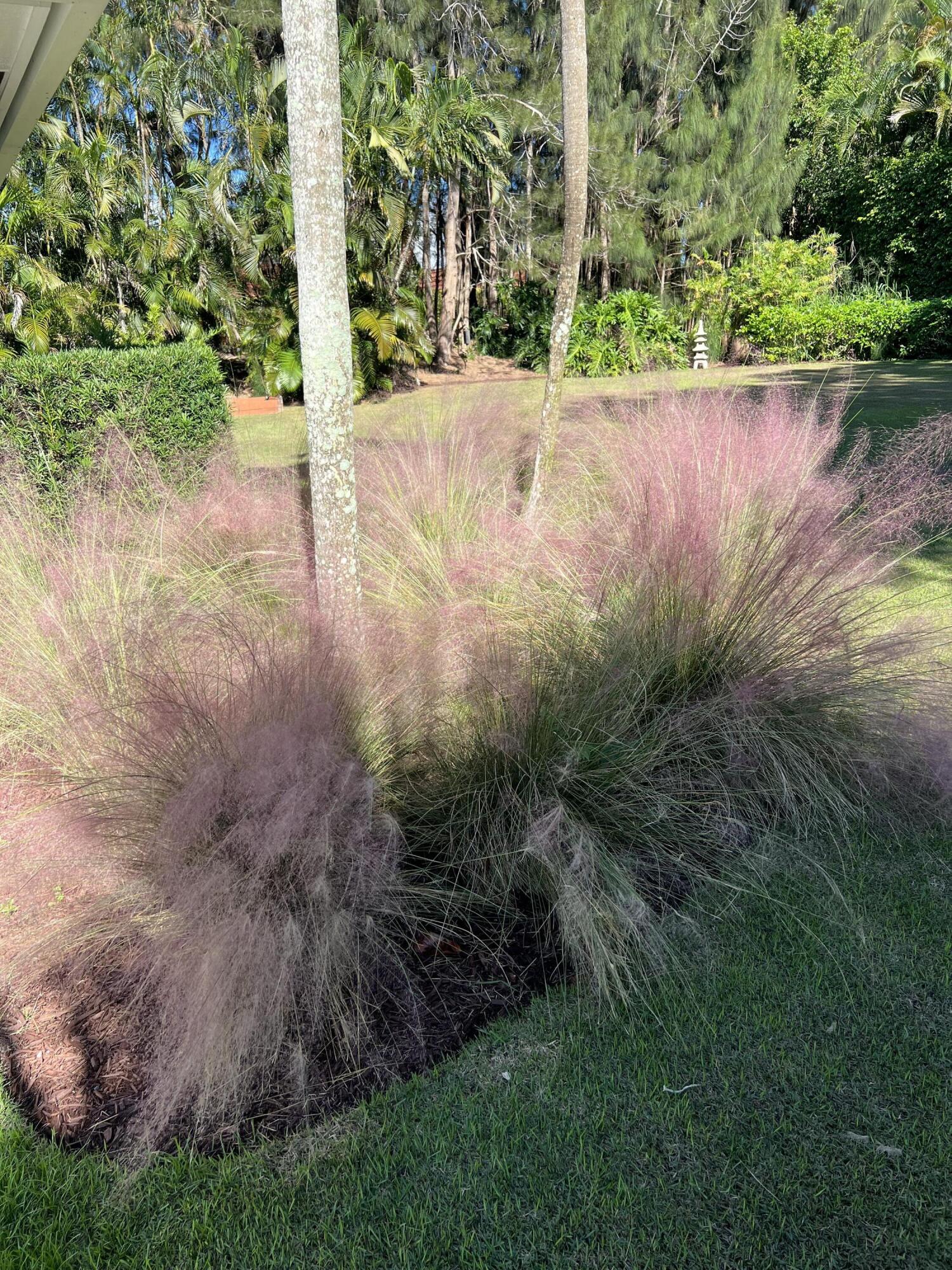 FOXE CHASE - Residential