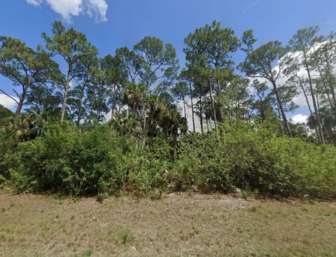 425 Skipper Terrace Labelle FL 33935