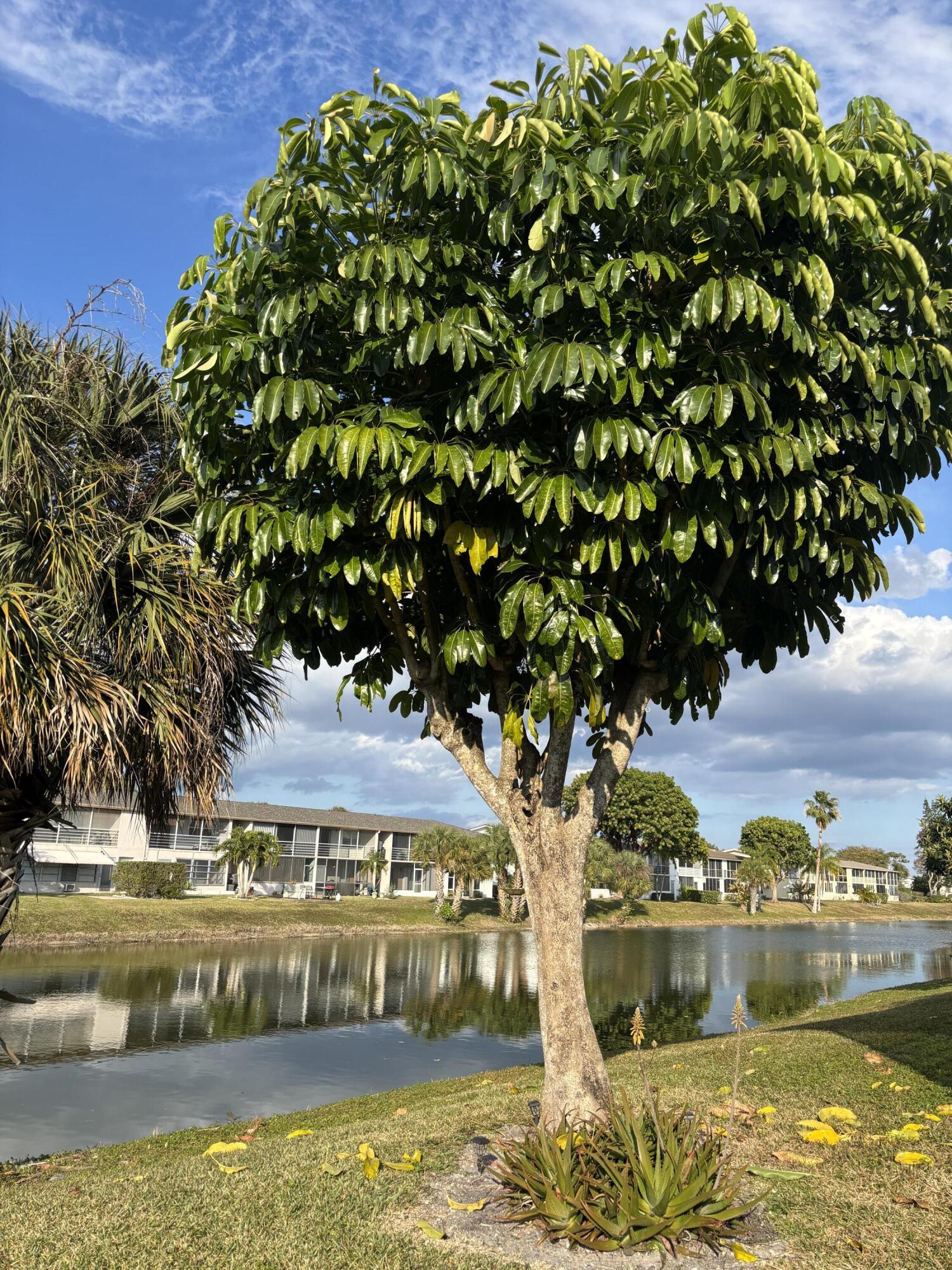 CAMDEN CONDOS - Residential Lease