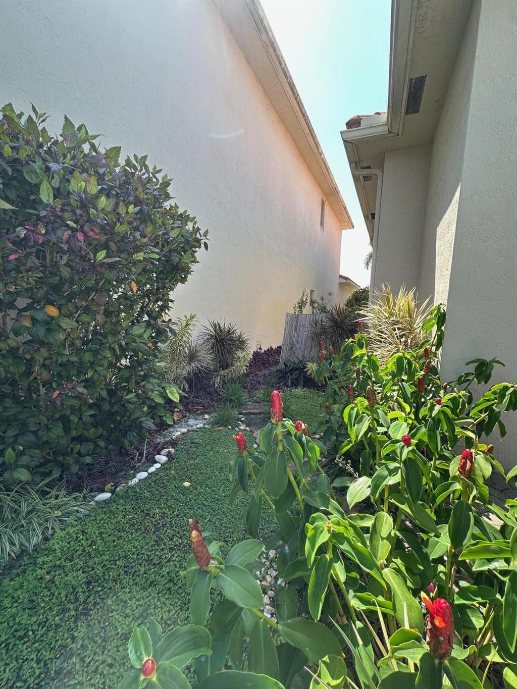 listing image 65