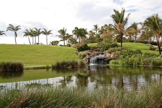 Planters Point - Residential