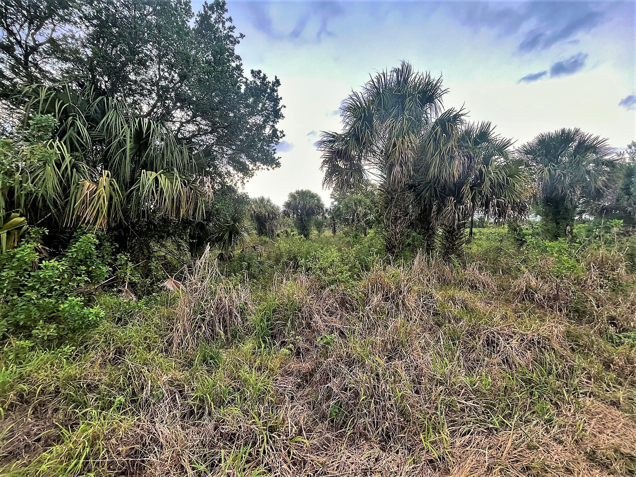 Santa Rosa Groves - Land