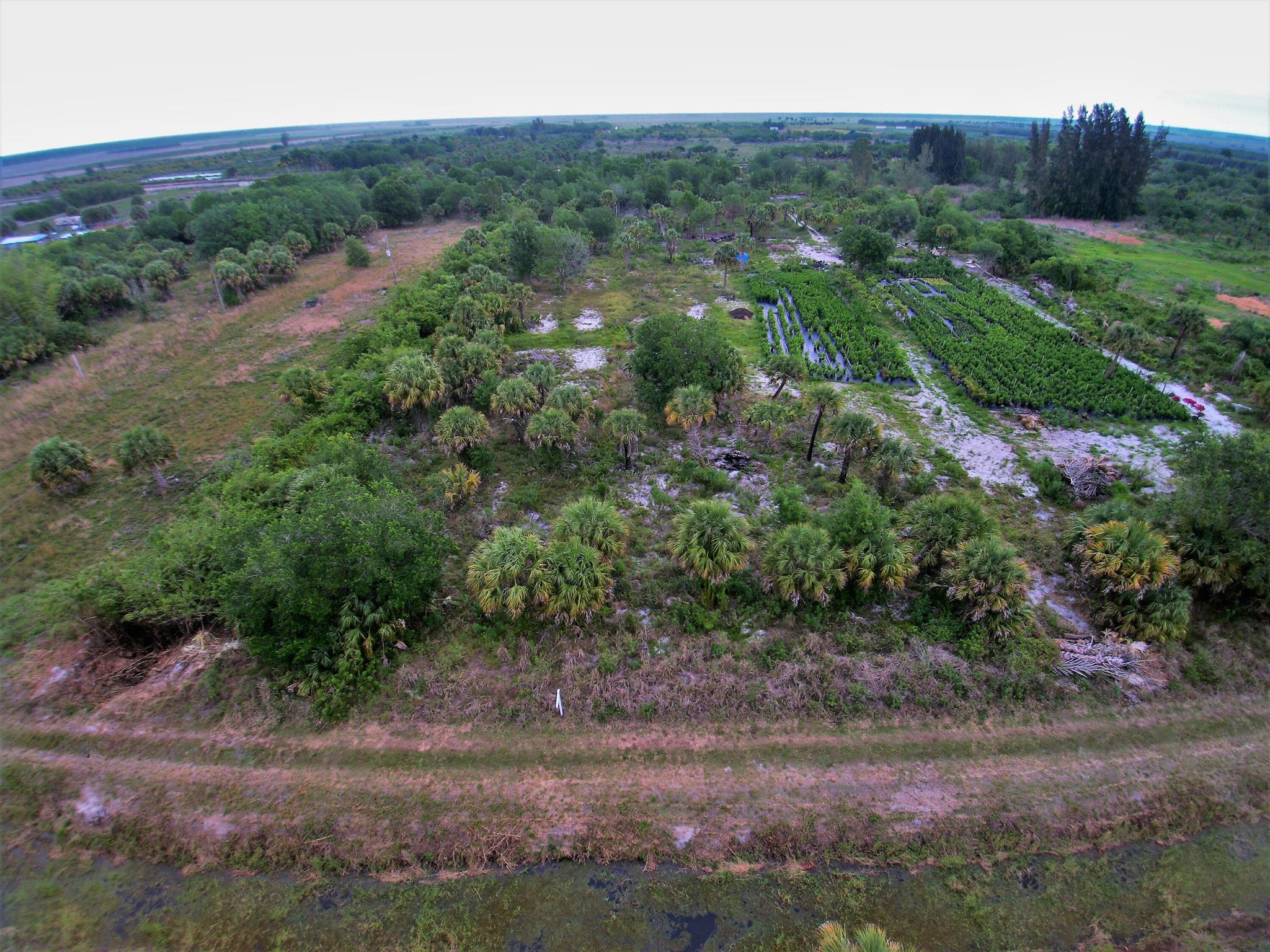 Santa Rosa Groves - Land