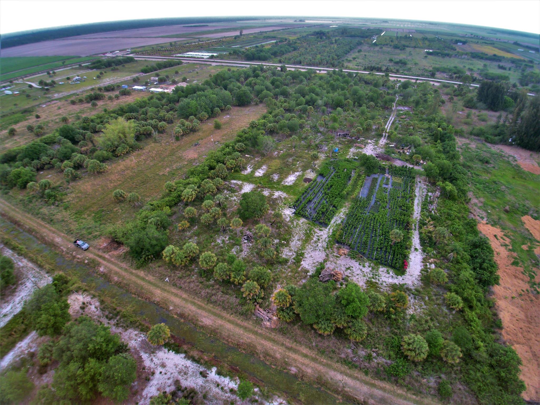 Santa Rosa Groves - Land