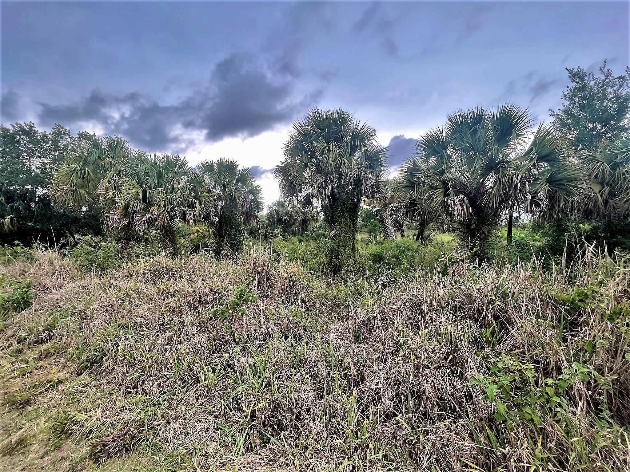 Santa Rosa Groves - Land