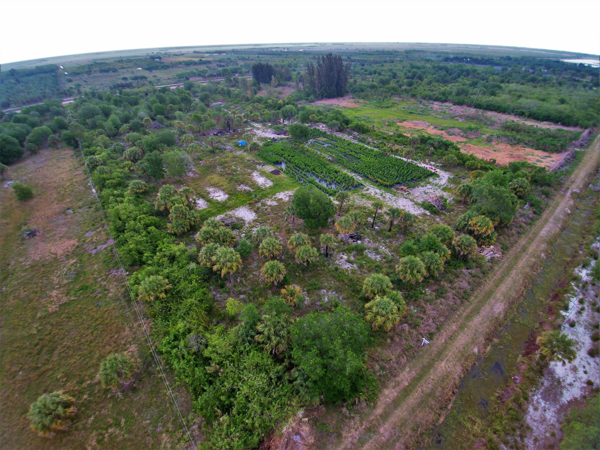 Santa Rosa Groves - Land