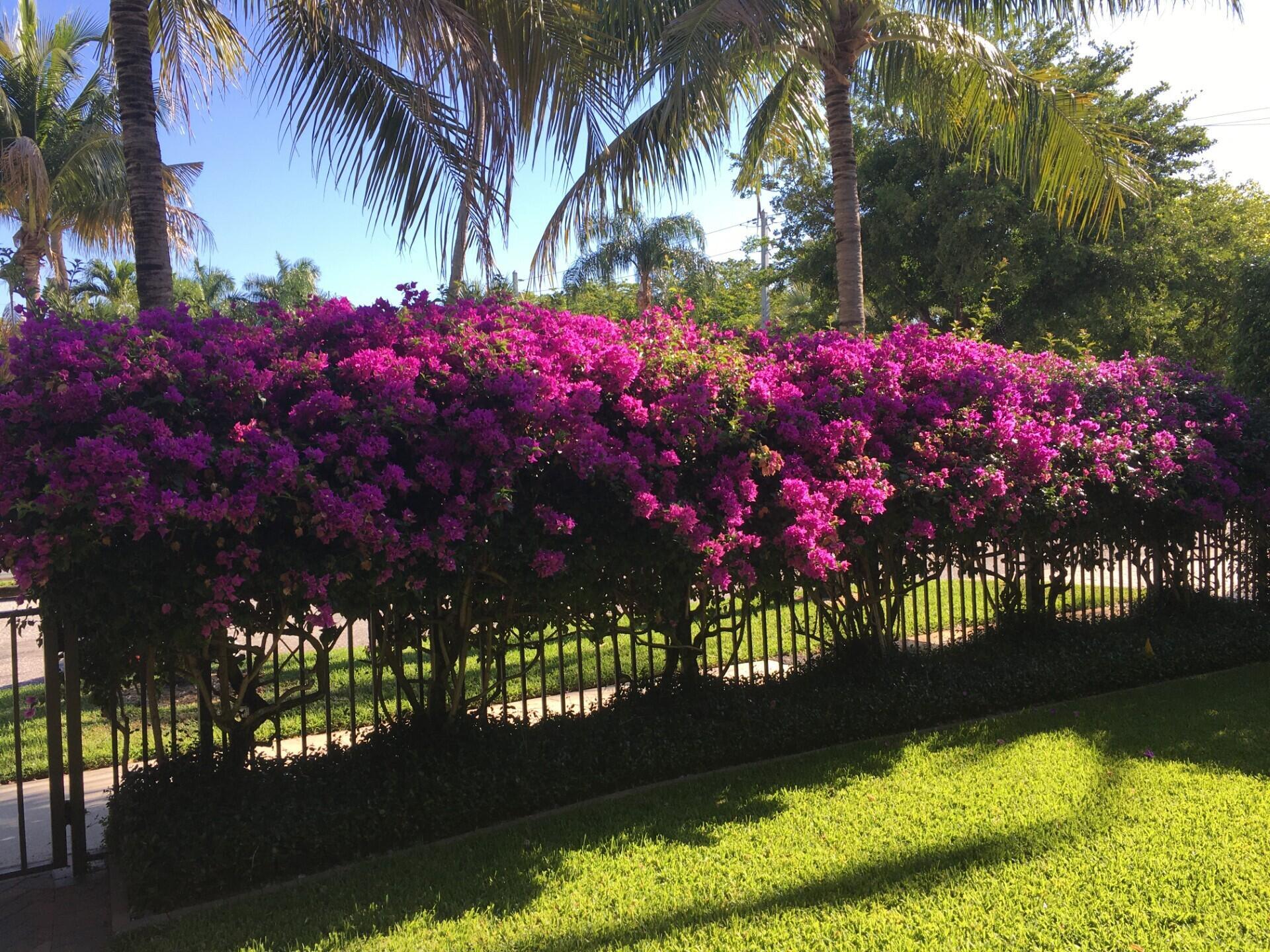 LAFAYETTE PARK - Residential