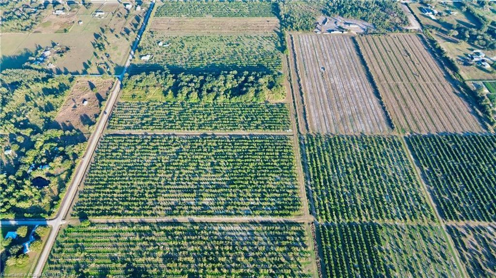 Orchard Groves Citrus Etc - Land