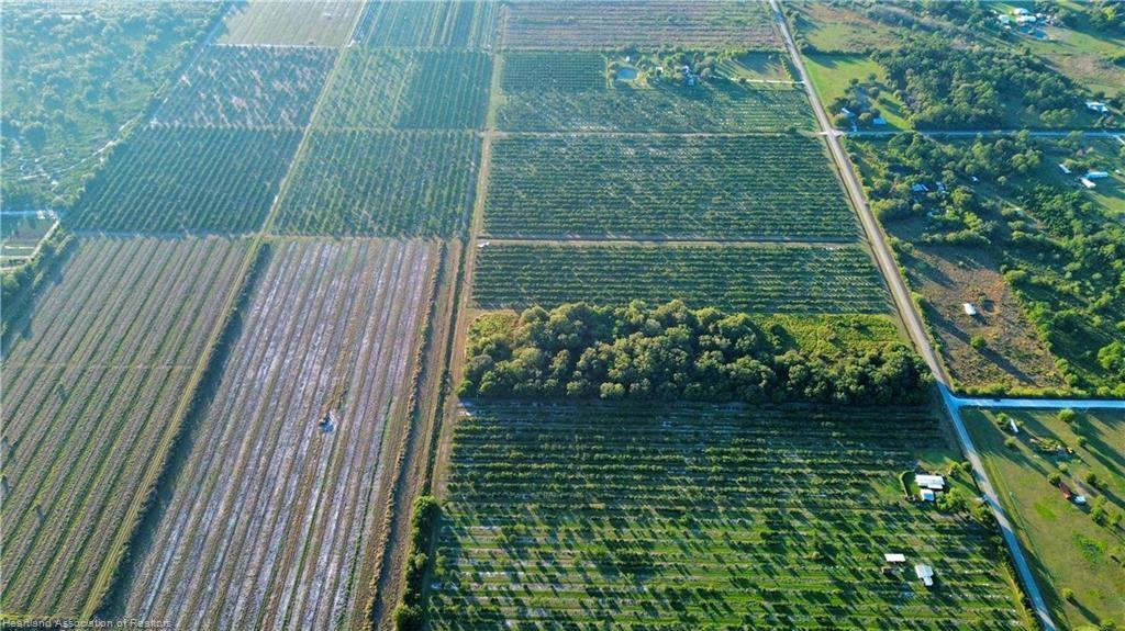 Orchard Groves Citrus Etc - Land