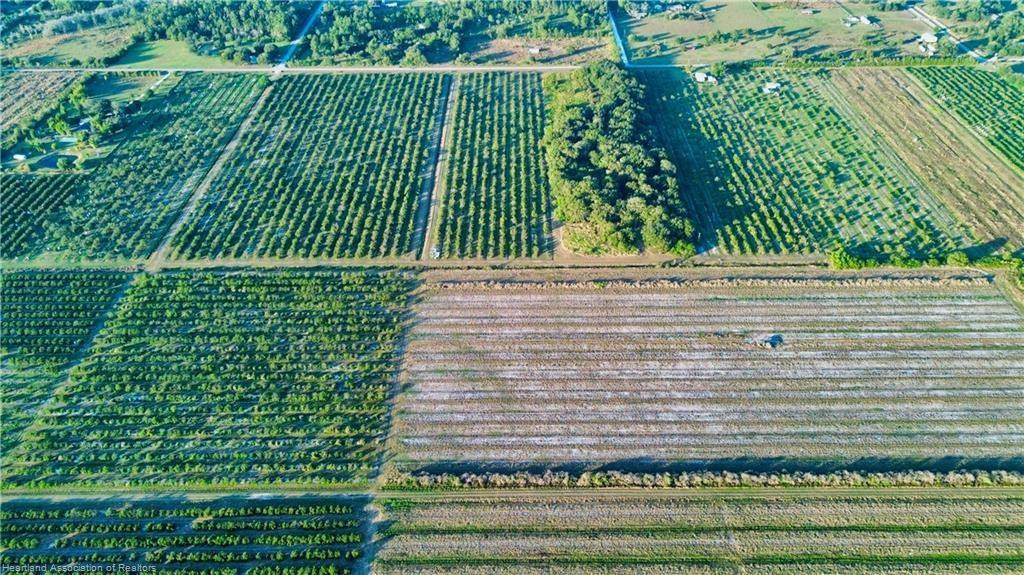 Orchard Groves Citrus Etc - Land