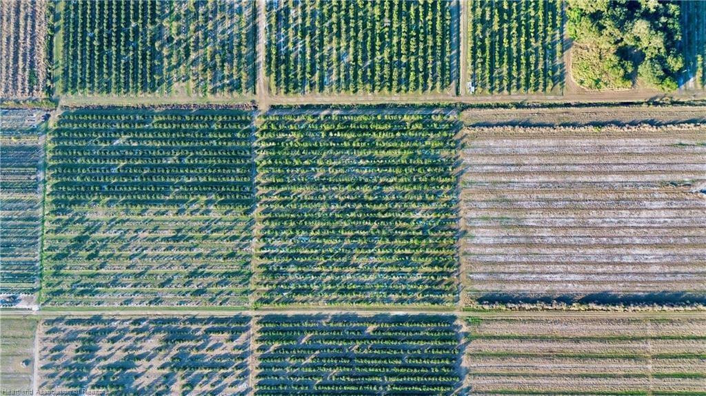 Orchard Groves Citrus Etc - Land