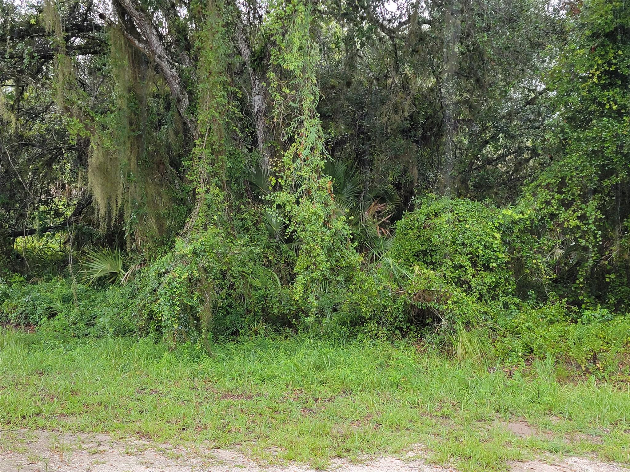 View Clewiston, FL 33440 land