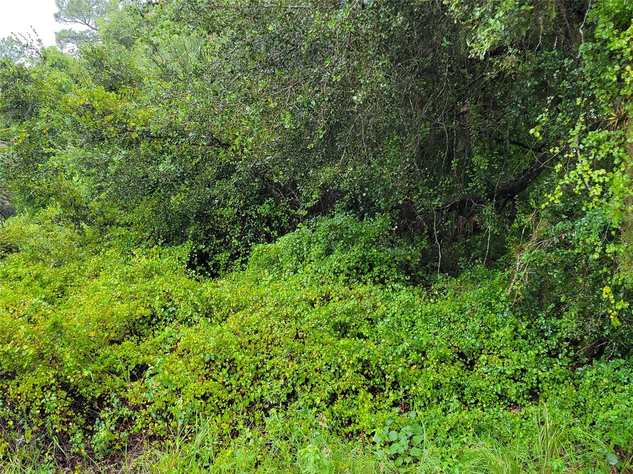 Montura Ranch Estates - Land