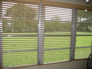 VILLAGES OF ORIOLE BONAIRE VILLAGE - Residential