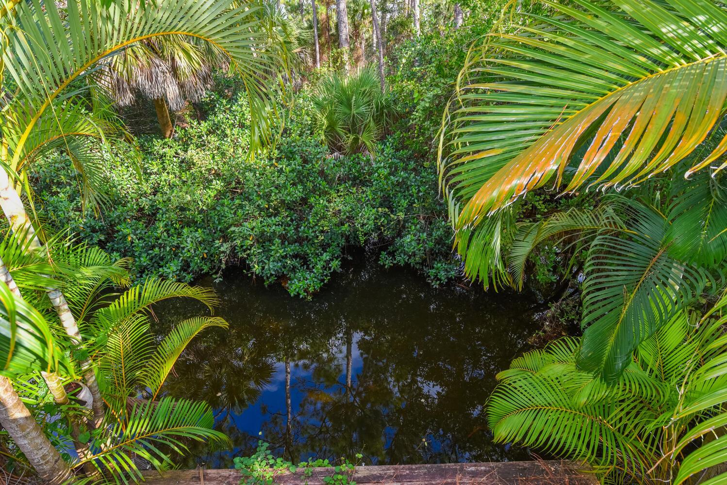 Prosperity Pines - Residential