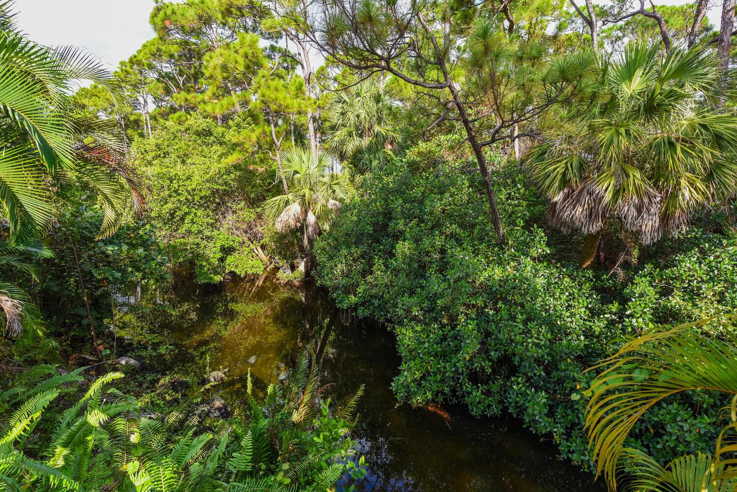 Prosperity Pines - Residential