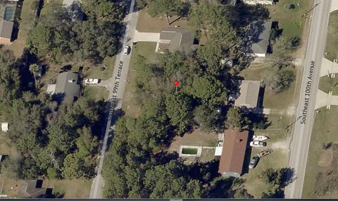 000 SE 99th Terrace Belleview FL 34420