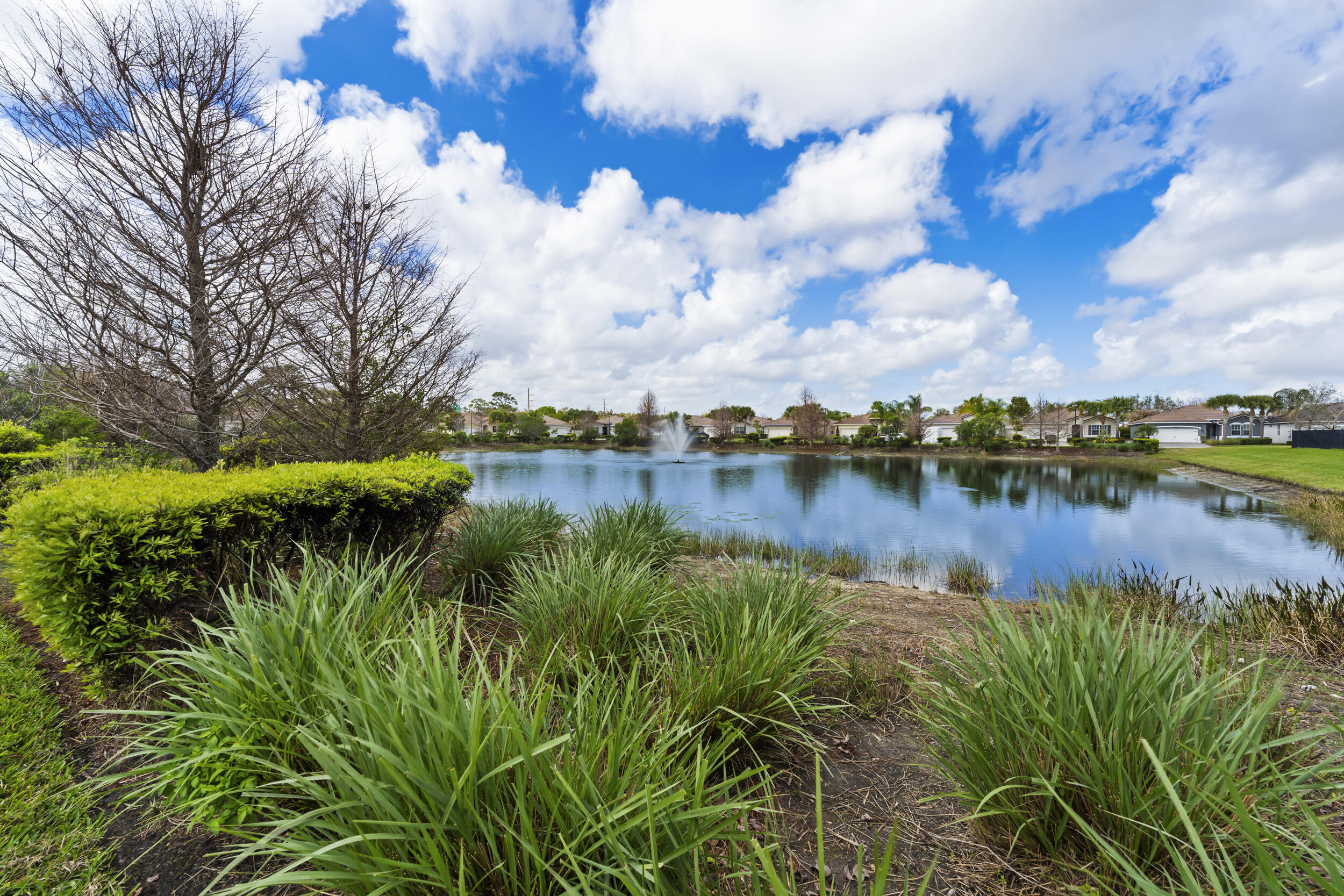 Tidewater Point - Residential