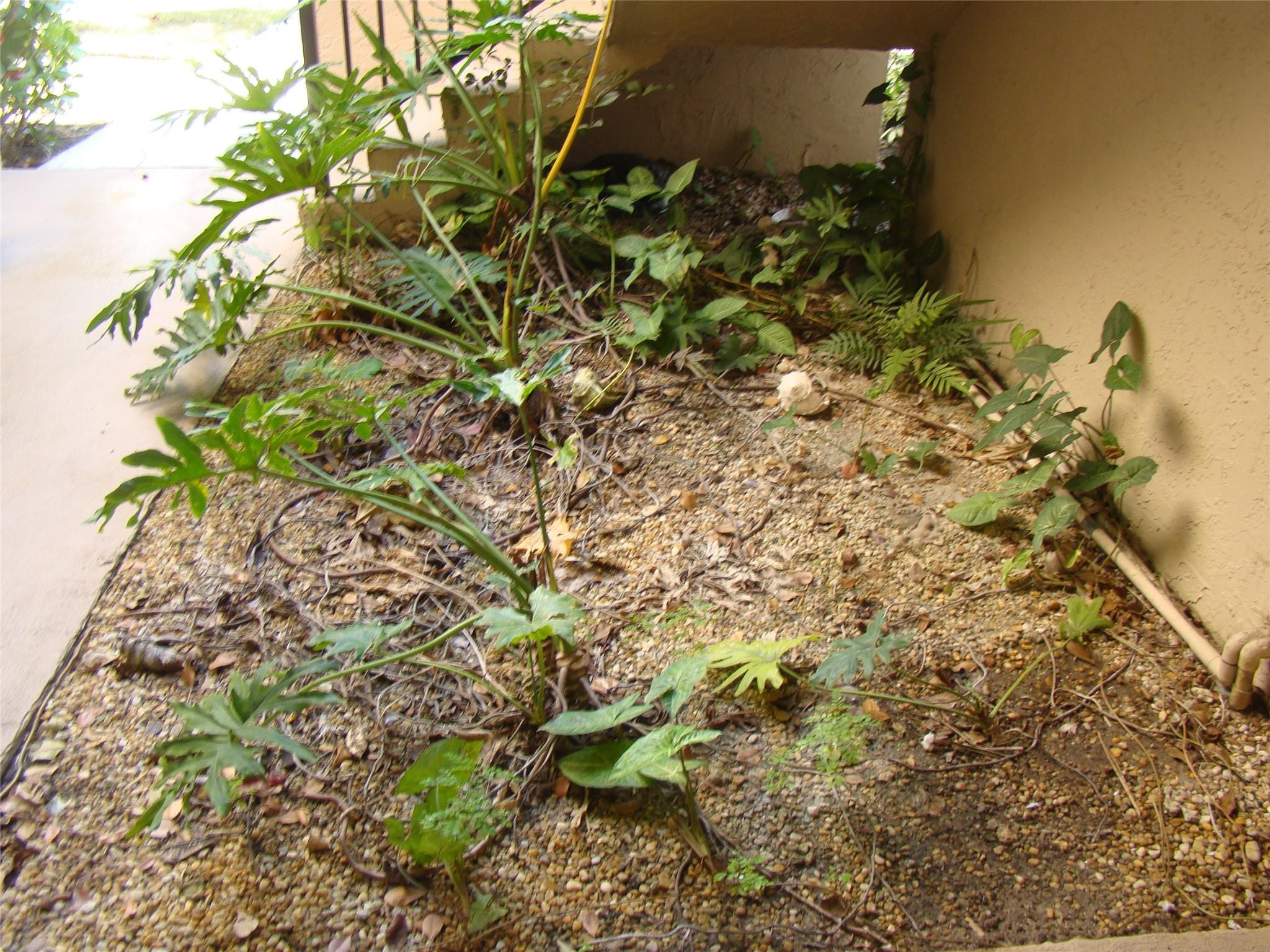 APPLEWOOD VILLAGE 1 - Residential