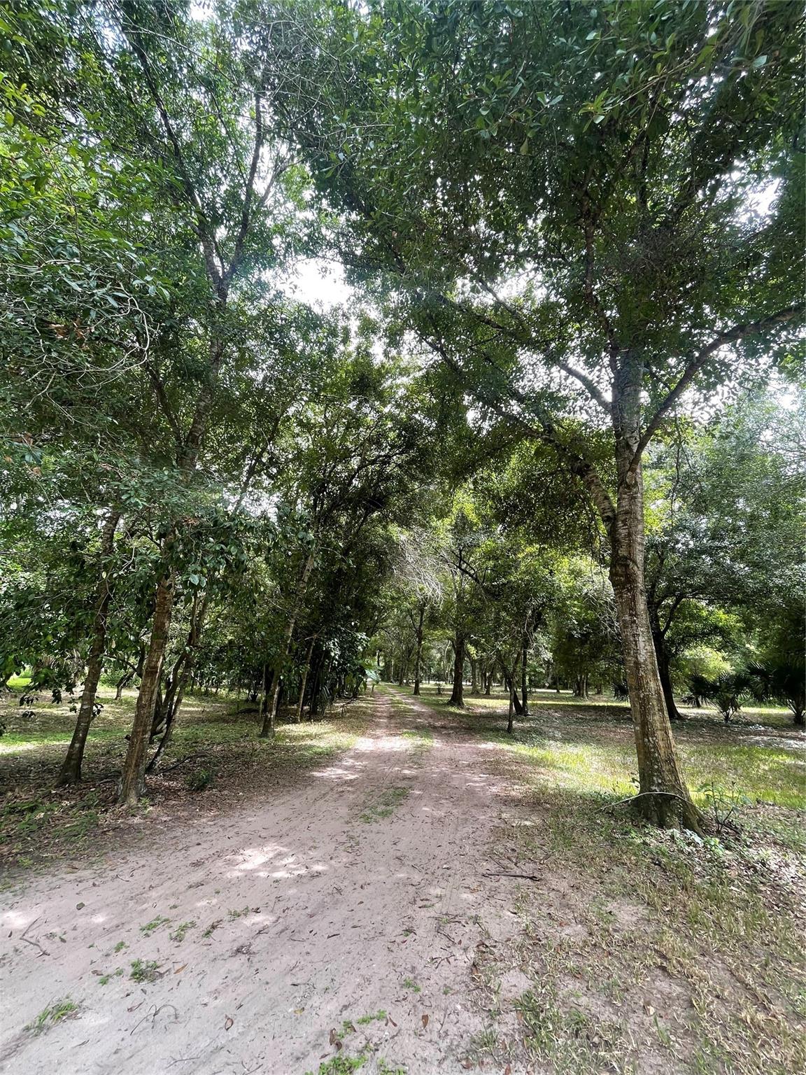 Dixie ranch acres- serene 3 acre property with large oaks and palmettos. Perfect place to build dream home while collecting rental income. Property has an enclosed pole barn with efficacy studio. Studio includes laundry. Large garage with plenty of storage space. Well and septic on site. Private entrance with long driveway.
