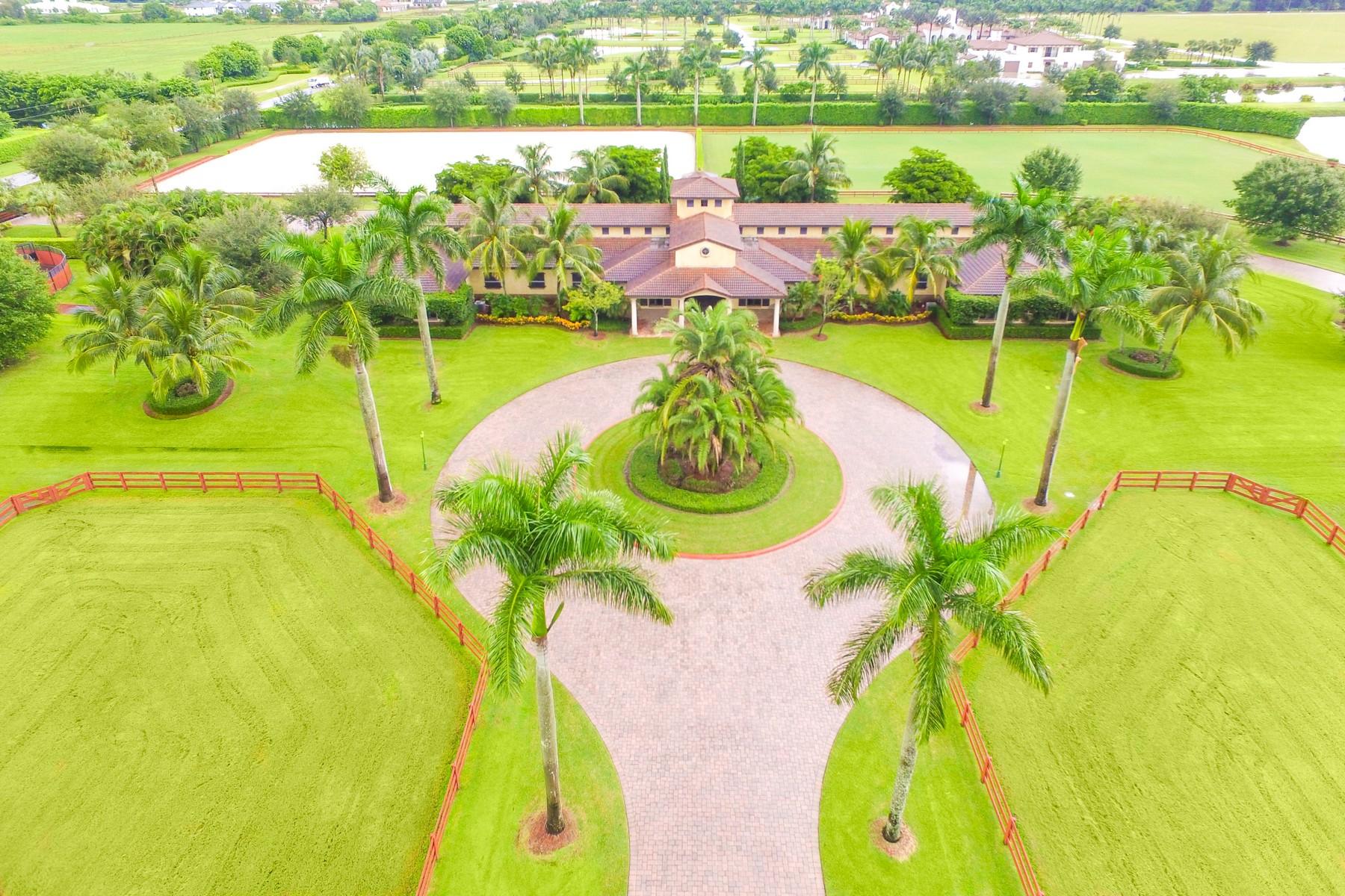 Palm Beach Point East - Residential