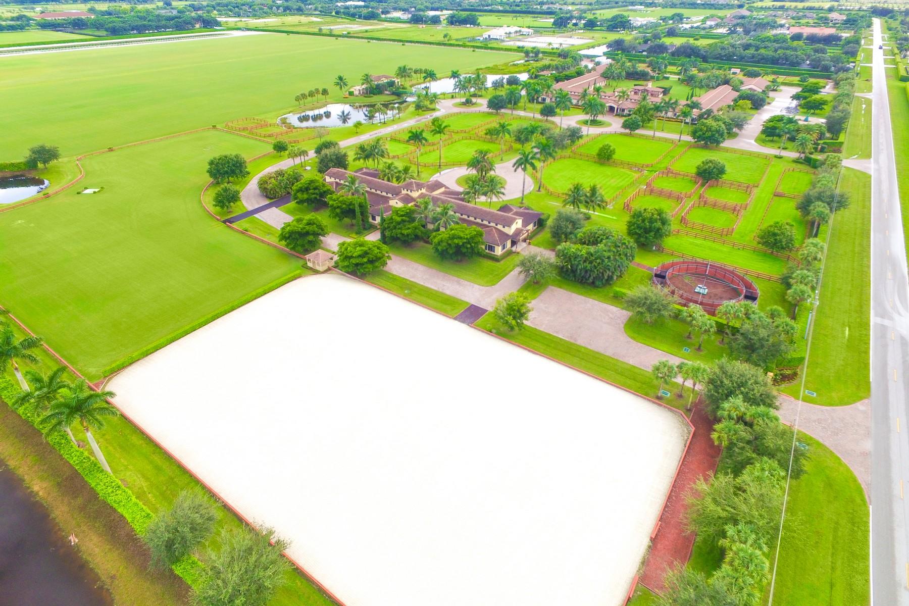 Palm Beach Point East - Residential