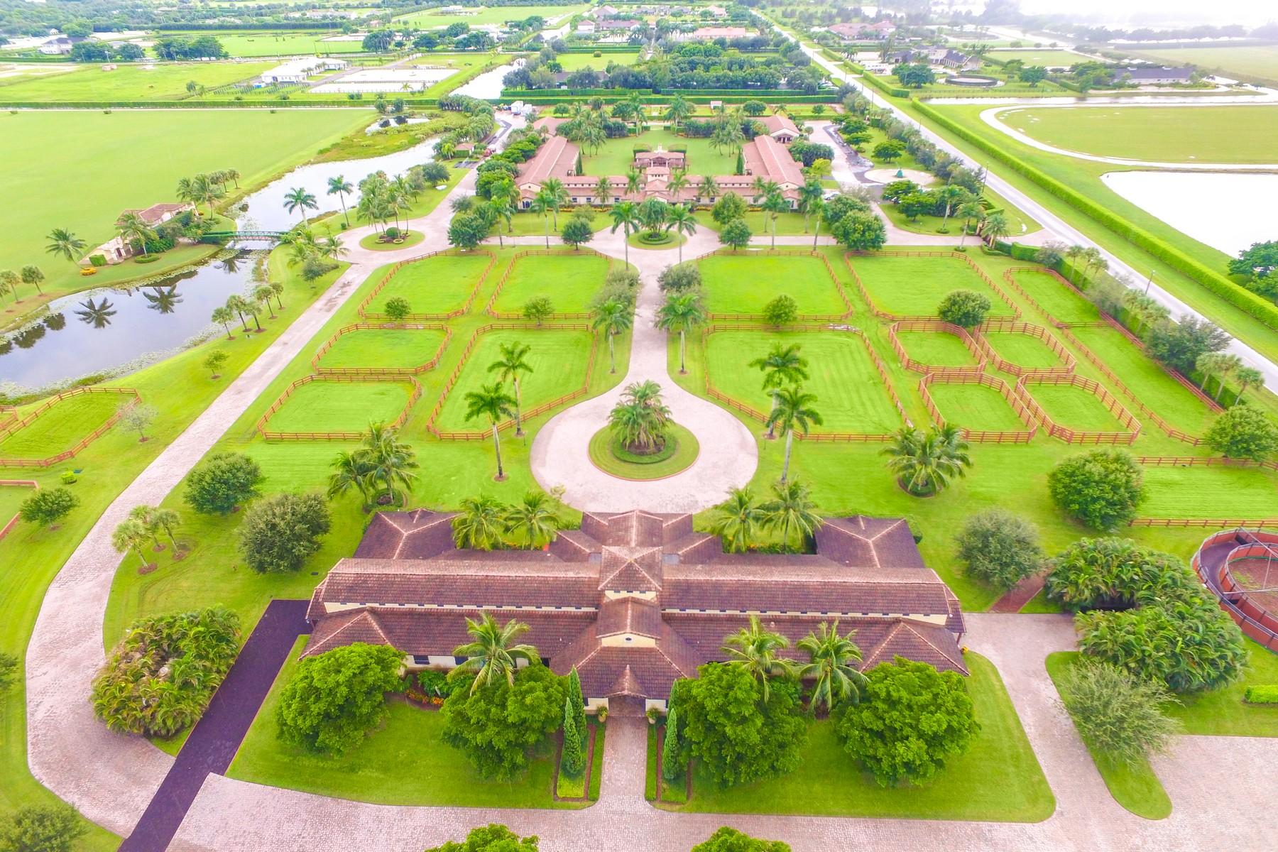 Palm Beach Point East - Residential